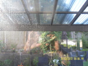 Window Cleaning Auckland