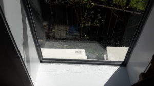 Phamptom Oval Marks Successfully removed form double glazed windows